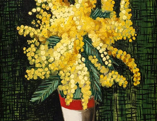 Bouqut de mimosas